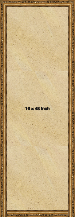 Ornate Gold 48x16 Picture Frame 