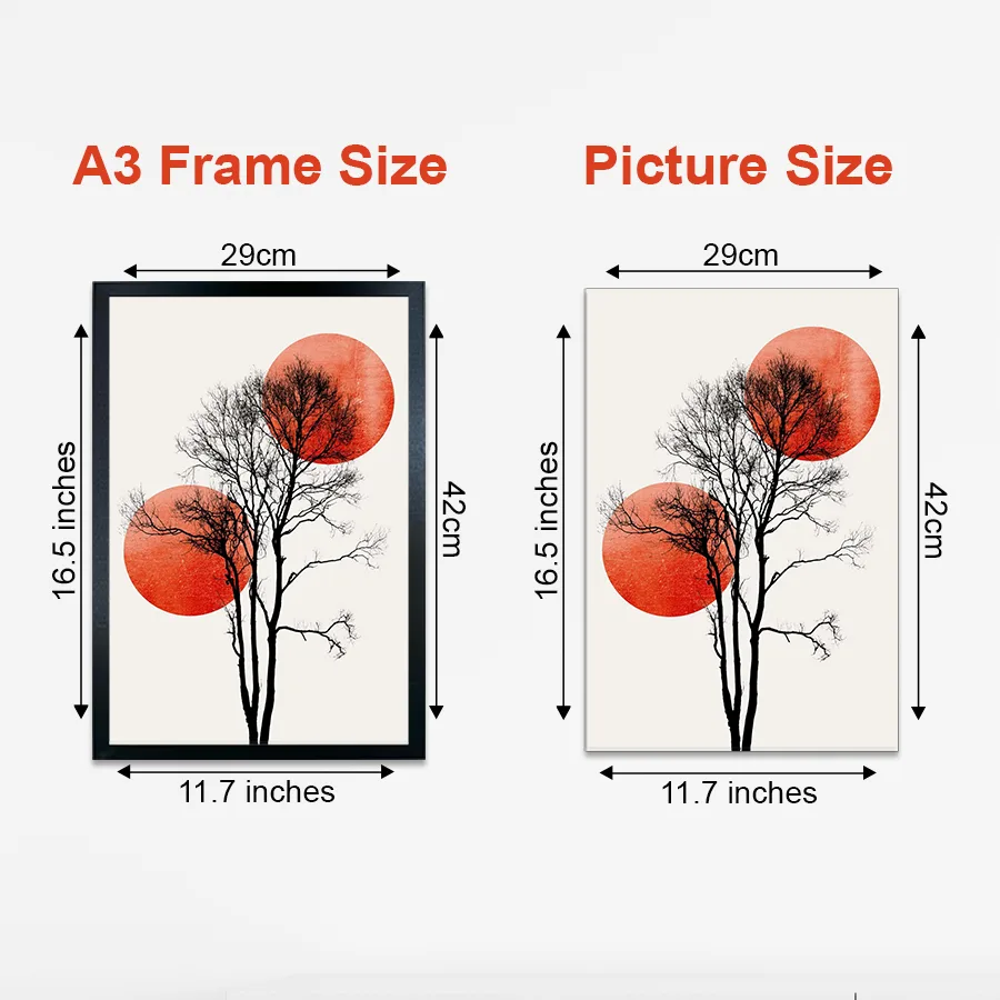 What Size Picture Frame for A3 | A3 Photo Frame Size Guide