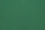 Color Image Not Uploaded
