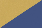 Color Image Not Uploaded