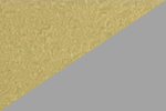 Color Image Not Uploaded