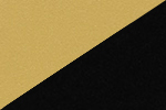 Color Image Not Uploaded