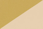 Color Image Not Uploaded