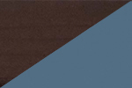Color Image Not Uploaded