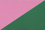 Color Image Not Uploaded